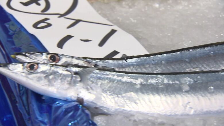 釧路港で水揚げされたサンマが札幌に