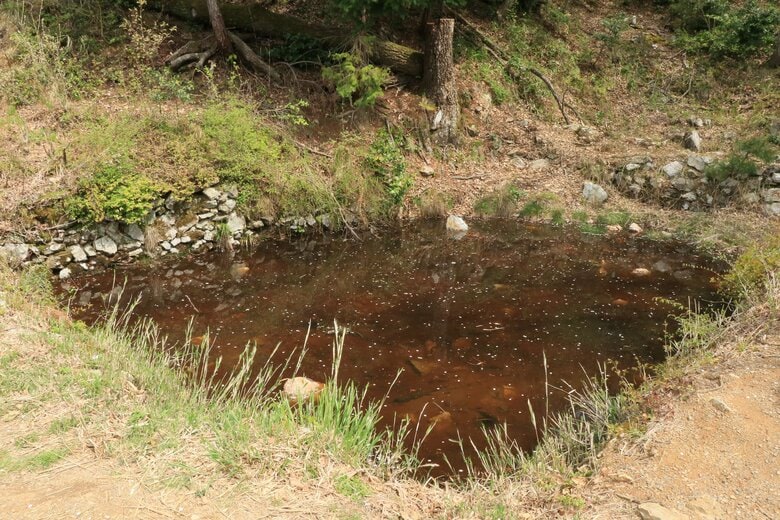 馬洗池。池の縁には石積みになっている