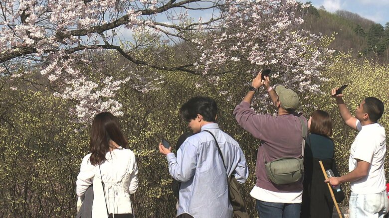 海外の観光客も注目する花の名所