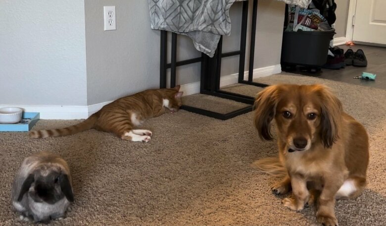 提供：和泉ユタカさん