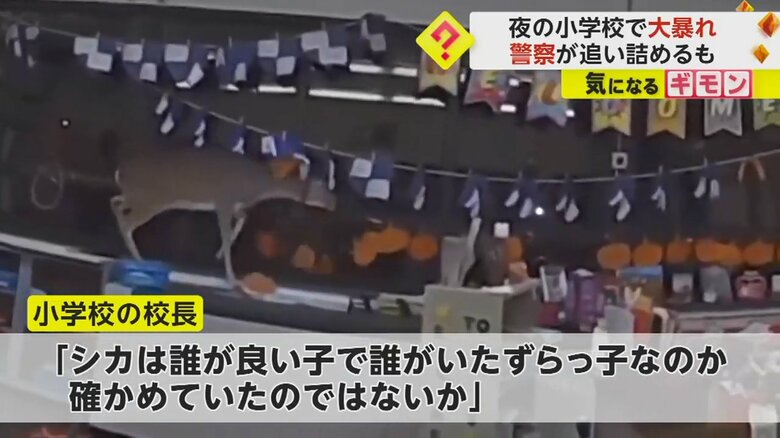 警察から逃げ、突き当たりの教室に入ったシカ
