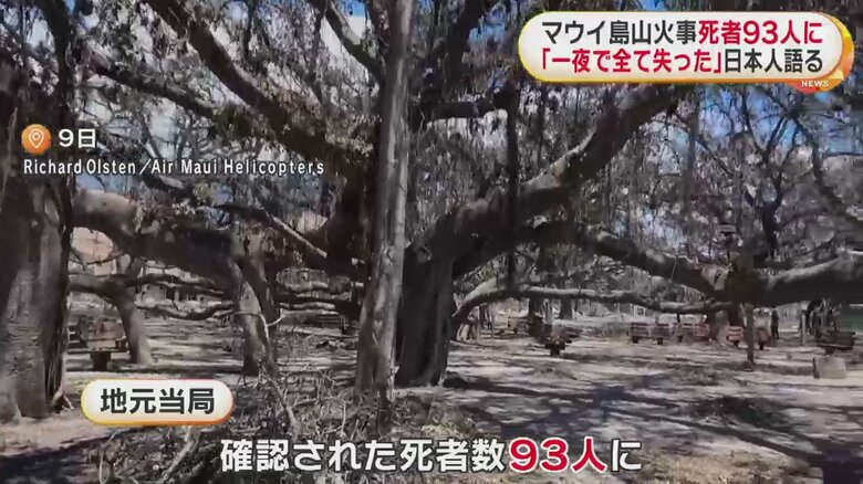 一面、焼けてしまったハワイ・マウイ島の様子