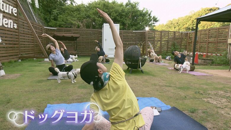 スペース有効活用で「ドッグヨガ」も企画