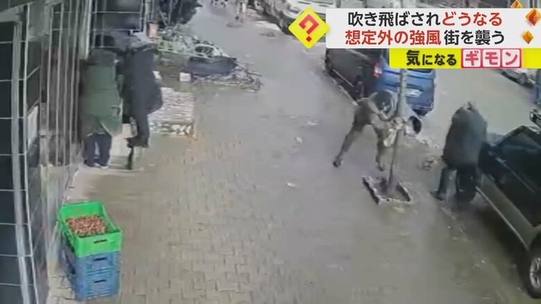強風にあおられながら、街路樹にしがみつく瞬間⑥