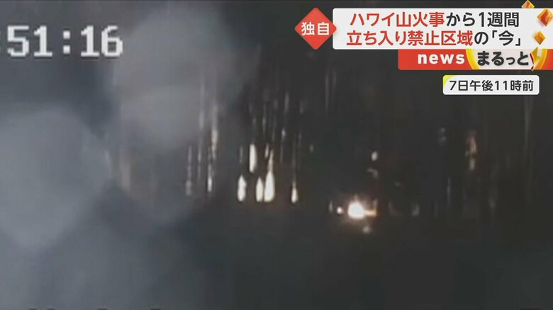 約3分後に監視カメラが復旧。林に火の手があがり始めた。