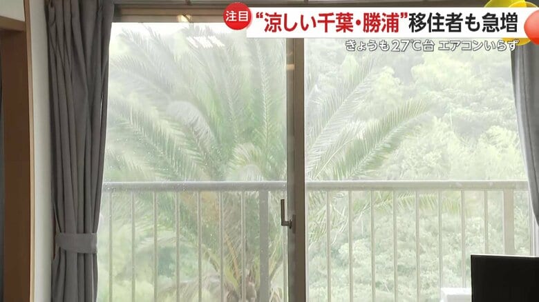 勝浦の海を一望できる田井さんのマンション