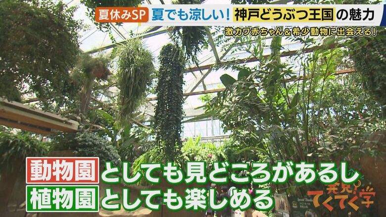 動植物園として楽しめる