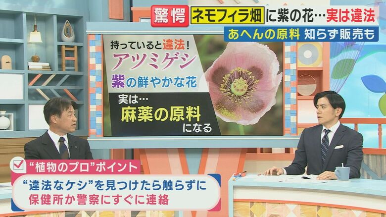 “植物のプロ”、大阪公立大学附属植物園の名波哲園長