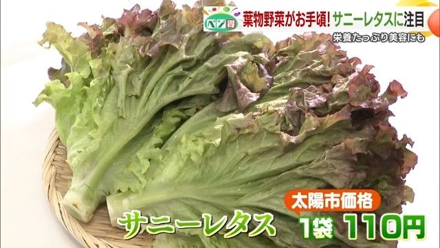 サニーレタスで健康維持や美容に