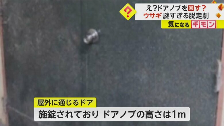 （札幌市円山動物園）