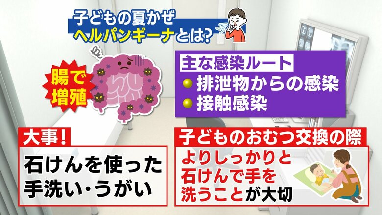 排泄物や接触が主な感染ルート　消毒・手洗いが重要