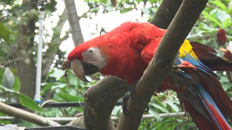 環境を守る大切さも伝えるエコツーリズムが人気