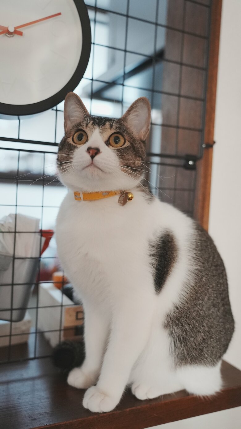 提供：ゆに＆メッシさん