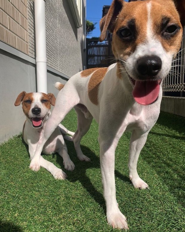 提供：あずもなさん