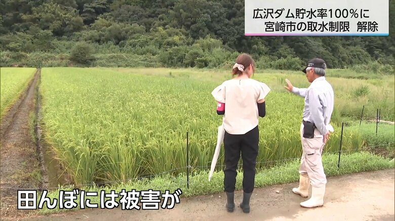 被害を受けている田んぼを案内する脇元さん