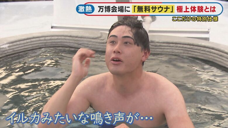 イルカみたいな鳴き声が