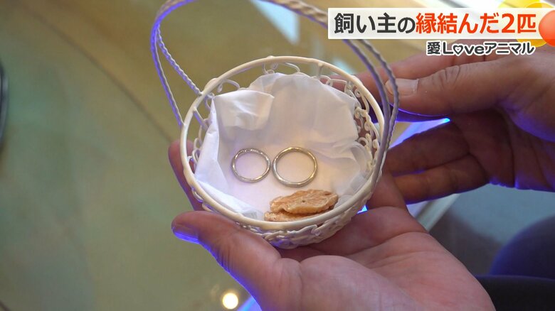 「との」と「こてつ」が届けた指輪