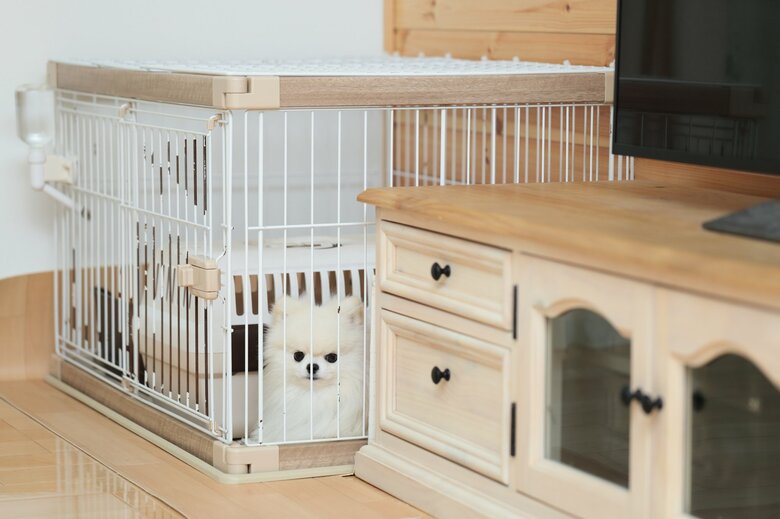 安全な場所に頑丈なハウスを設置するとよい（画像はイメージ）