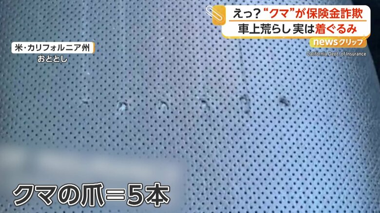 クマの爪は5本のはず…