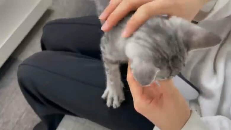 すぐに戻ってきて親指をしゃぶっている