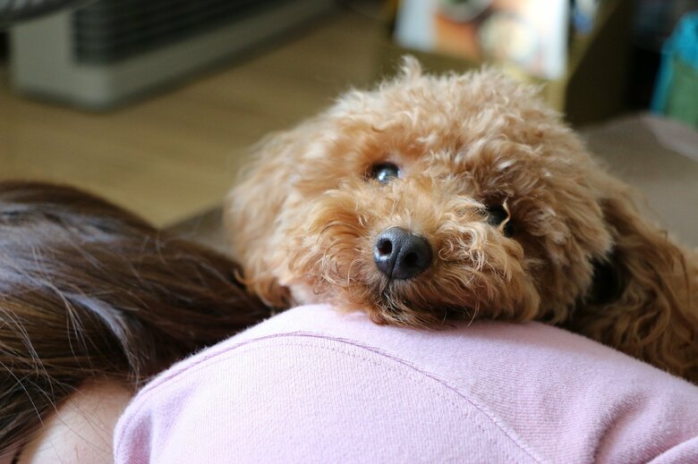 一緒にいることを「安心」と考える（画像はイメージ）