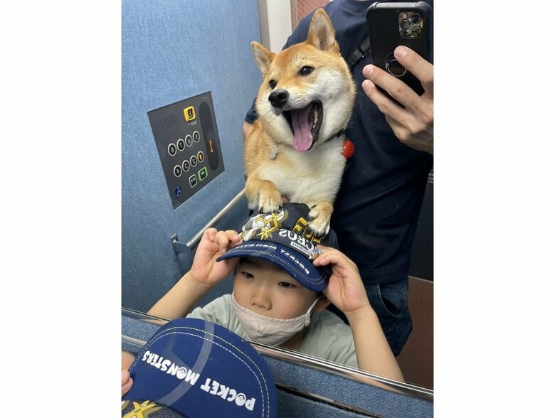 提供：柴犬勇者むぎさん