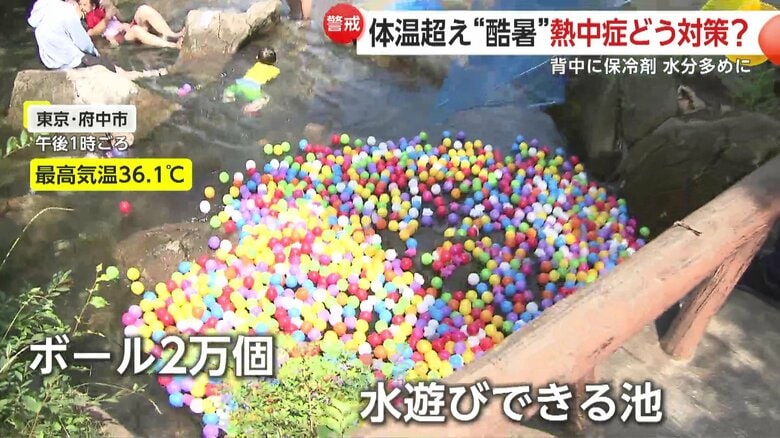 2万個のボールを浮かべた“水遊びのできる池”がある『府中市郷土の森博物館』