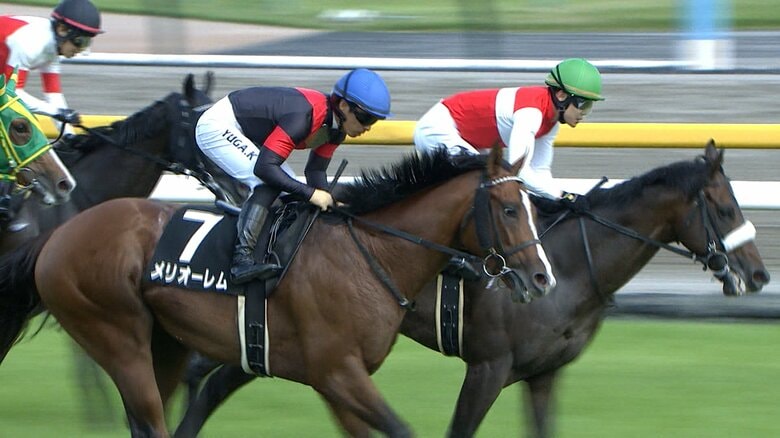 4歳馬メリオーレム
