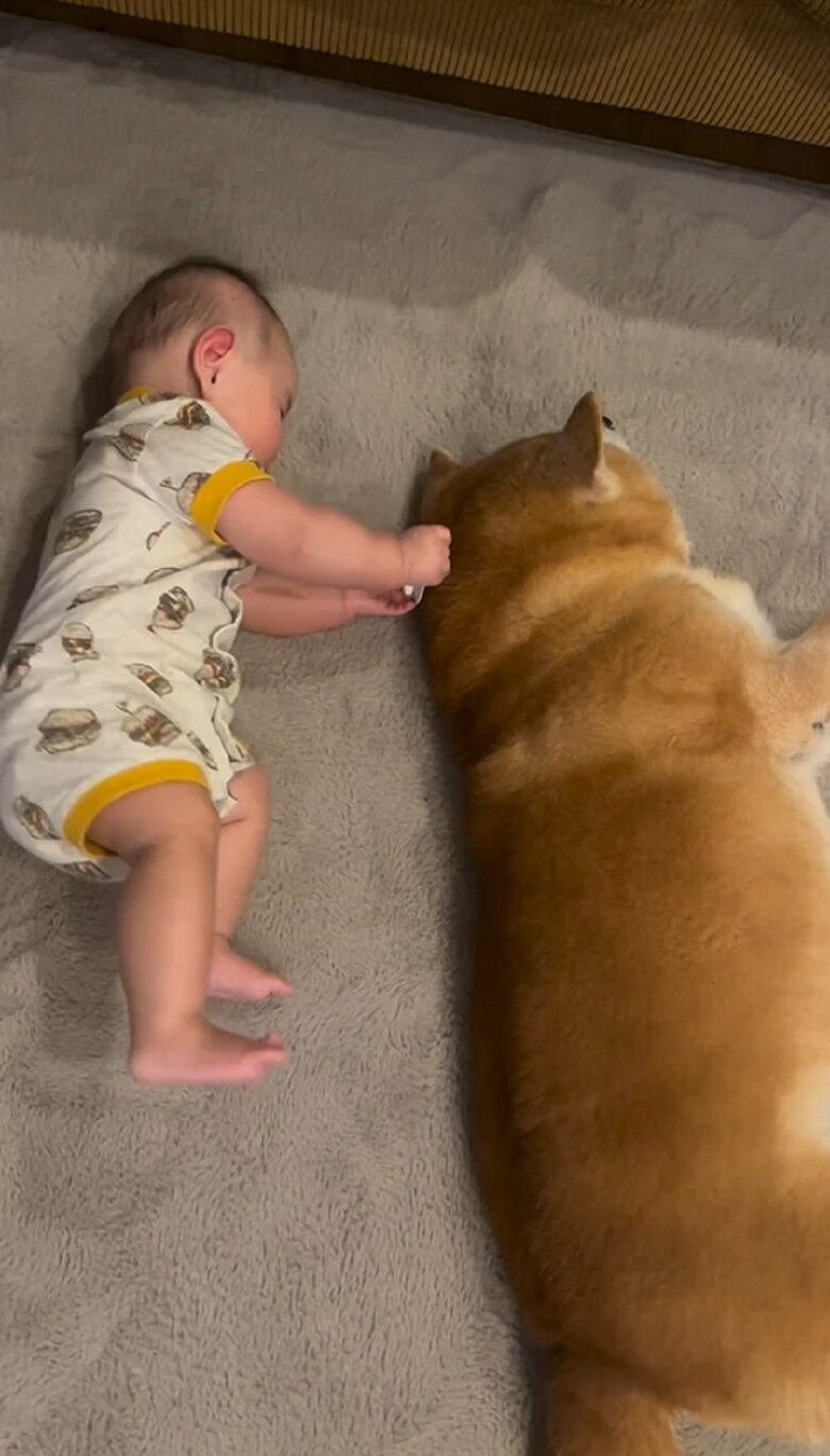 一緒に横になっている娘さんとべりやんくん