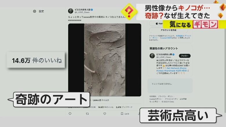 SNSで14万件以上の“いいね”がついた映像