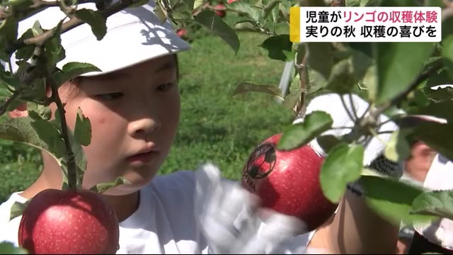 児童たちがリンゴの収穫を体験 実りの秋 収穫の喜びを体感<岩手・花巻市>