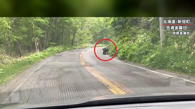 しかし、すぐさま戻ってくる