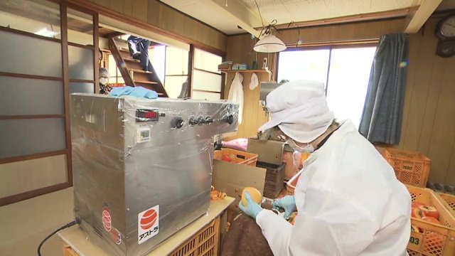 果樹王国・ふくしまだからこそ生まれた会社　福島へ恩返しを