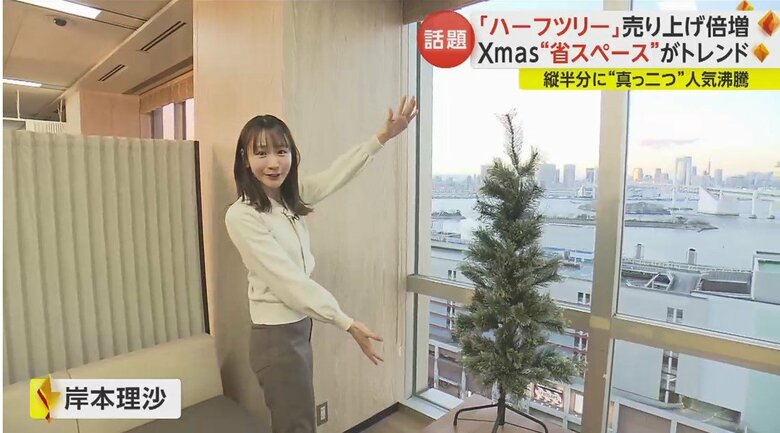 岸本理沙アナウンサー：見た目は普通のクリスマスツリーですが…。