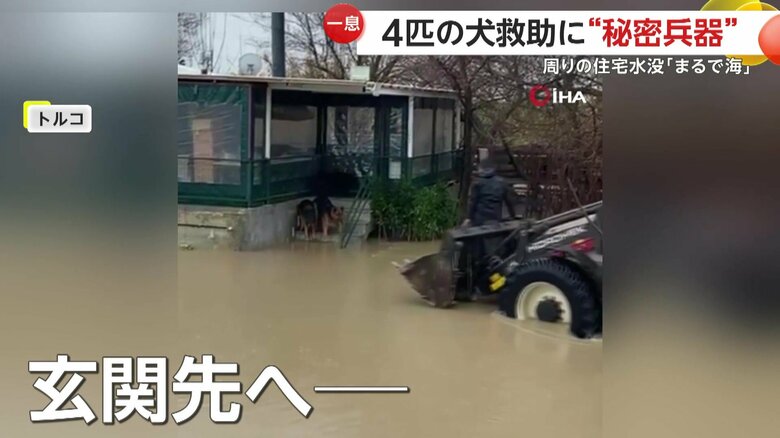 玄関先で救助を待つ犬たちの元へと向かう近隣住民たち