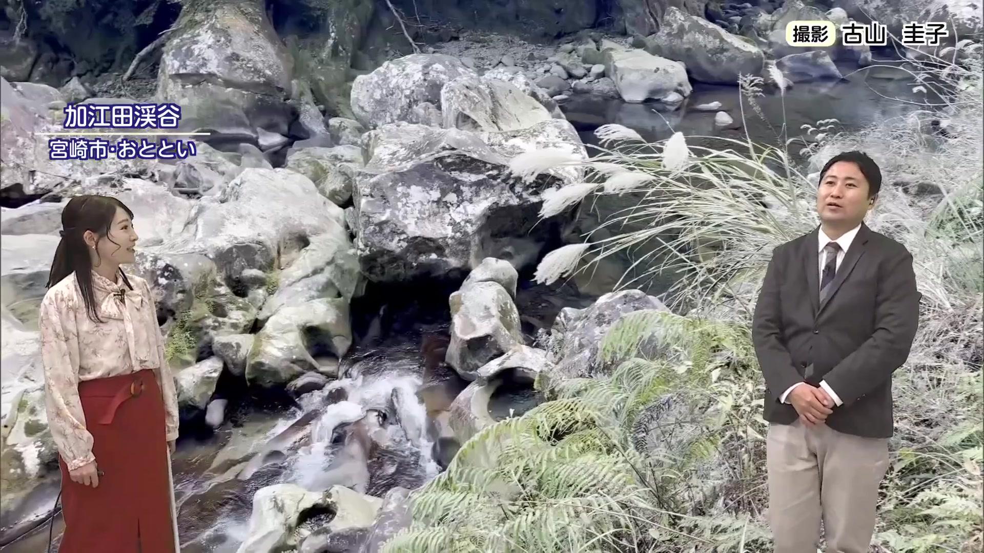 山火事を防ぐ新ルール！新たに導入された「林野火災警報・注意報」の基準や火の使用制限、違反時の罰則について気象予報士が解説