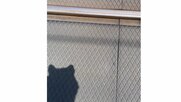 踏切を渡っていたら愛犬が「ギャン」と悲鳴…線路に流れる“電流”が原因? 鉄道会社に注意点を聞いた