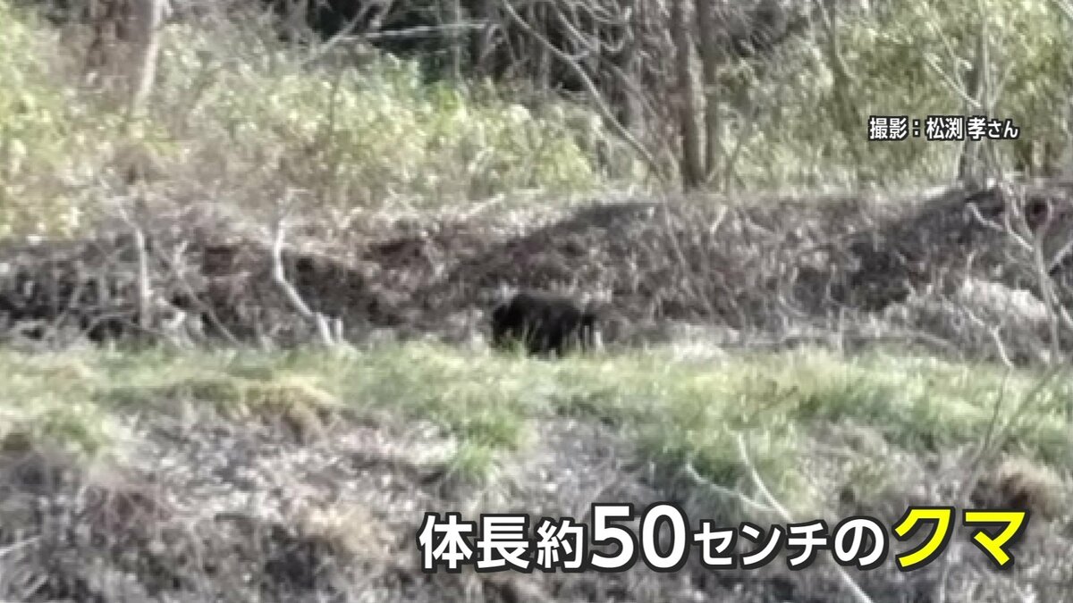 クマの目撃、すでに50件 生活圏に出没 “餌になるもの放置しない”など