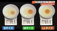 「サイズにかかわらず、黄身の大きさはほぼ同じ」ってホント？　市場のS、SSサイズ、実は…