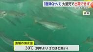 夏の暑さで大量死「唐津Qサバ」当分の間出荷停止【佐賀県】 