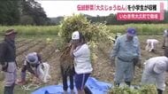 小学生が地域の伝統野菜を収穫　エゴマの「大久じゅうねん」　1月に学校給食で使用へ　福島・いわき市