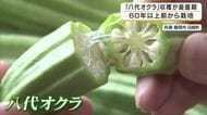 40度近い気温で育ち良好　八角形以上の形が特徴　60年以上受け継がれる「八代オクラ」収穫が最盛期　兵庫・豊岡市