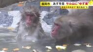 人気のサル山に“ゆず湯”　冬至に合わせ毎年登場　サルたちも満足げ　来年２月末まで“露天風呂”も　福岡市動物園