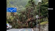 関東や東北の記録的大雨で1人死亡、2人けが　10日頃まで前線停滞か　土砂災害などに厳重警戒
