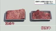 上質な脂がおいしい「宮崎牛」　赤身がおいしい「経産牛」　食べ比べイベント　その狙いとは