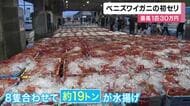 初セリでは1匹30万円も！　ベニズワイガニ漁解禁　「香住漁港」では初日の漁で約19トン水揚げ
