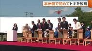 能登の空を“トキ”が舞う！本州側で初の放鳥「住み着いてくれればいい」　佐渡で訓練受けた8羽が飛び立つ