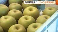 糖度13度以上！台風被害免れ“ナシ”の出荷本格化「しゃきっとした食感に上品な甘みと香り」　天候に恵まれ例年以上の大玉に　新潟・加茂市