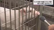 えびの警察署員みんなでかわいがっていた”落とし物”の子豚のトントン　新たな飼い主のもとへ