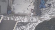 相次ぐ香川の鳥インフルエンザ 養鶏場で殺処分進む【香川・三豊市】